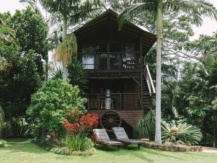 The Bodhi Treehouse in Byron Bay