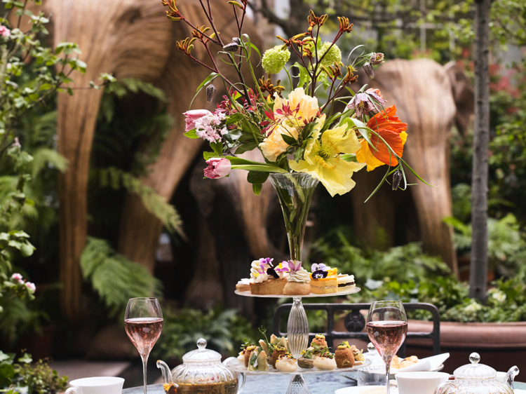 Petersham Nurseries’ afternoon tea is helping to save India’s elephants.