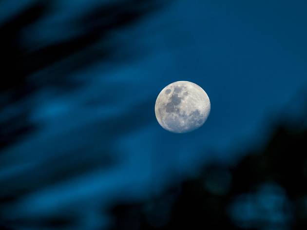 Blue Moon Blue Moon