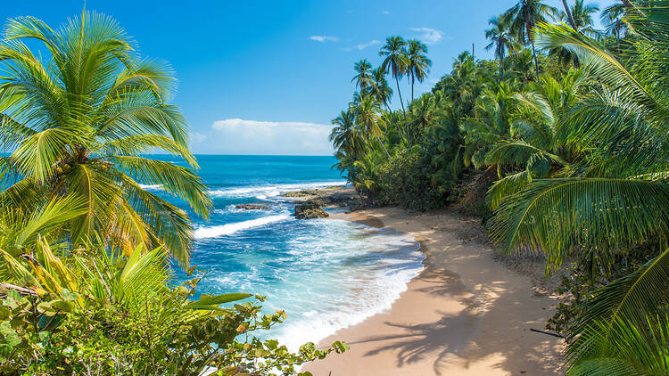 Beach in Costa Rica