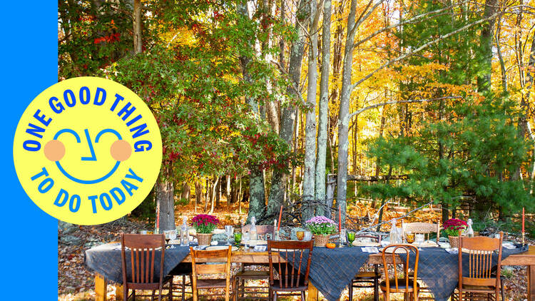 Book a table, meet new friends, and dine with alpacas