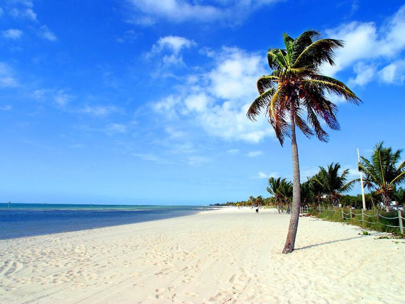 12 Best Things to Do in Key West Right Now