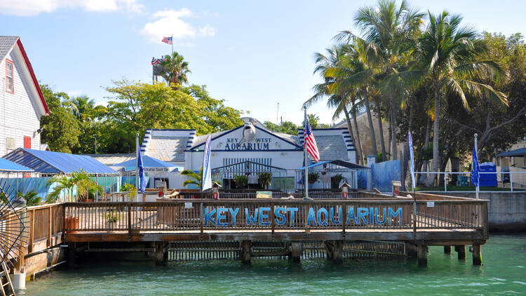 Key West Aquarium