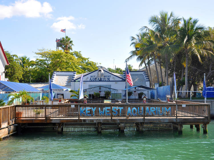 Key West Aquarium