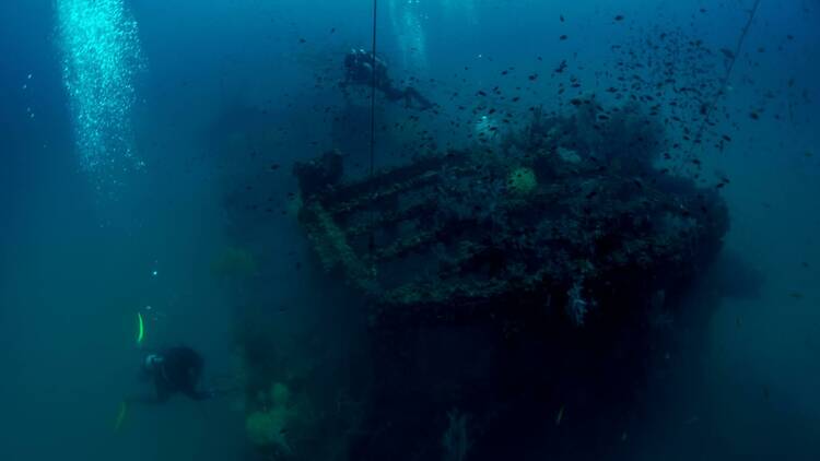 Australian Wreck 