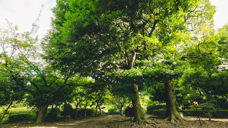 ‘The Nature Plays the Main Melody with Harmony from the Piano’ by Masakatsu Takagi