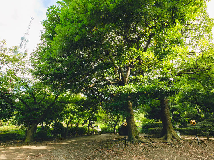 ‘The Nature Plays the Main Melody with Harmony from the Piano’ by Masakatsu Takagi