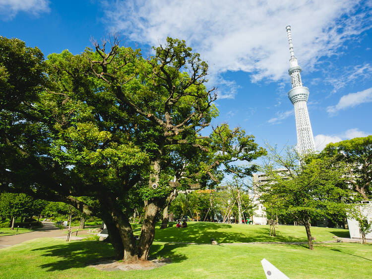 Enjoy these free events at the Sumida River Storm and Urge music and art festival