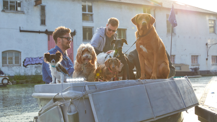 International Dog Day sets sail