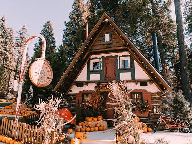 Best Pumpkin Patches in Los Angeles for Halloween Fun