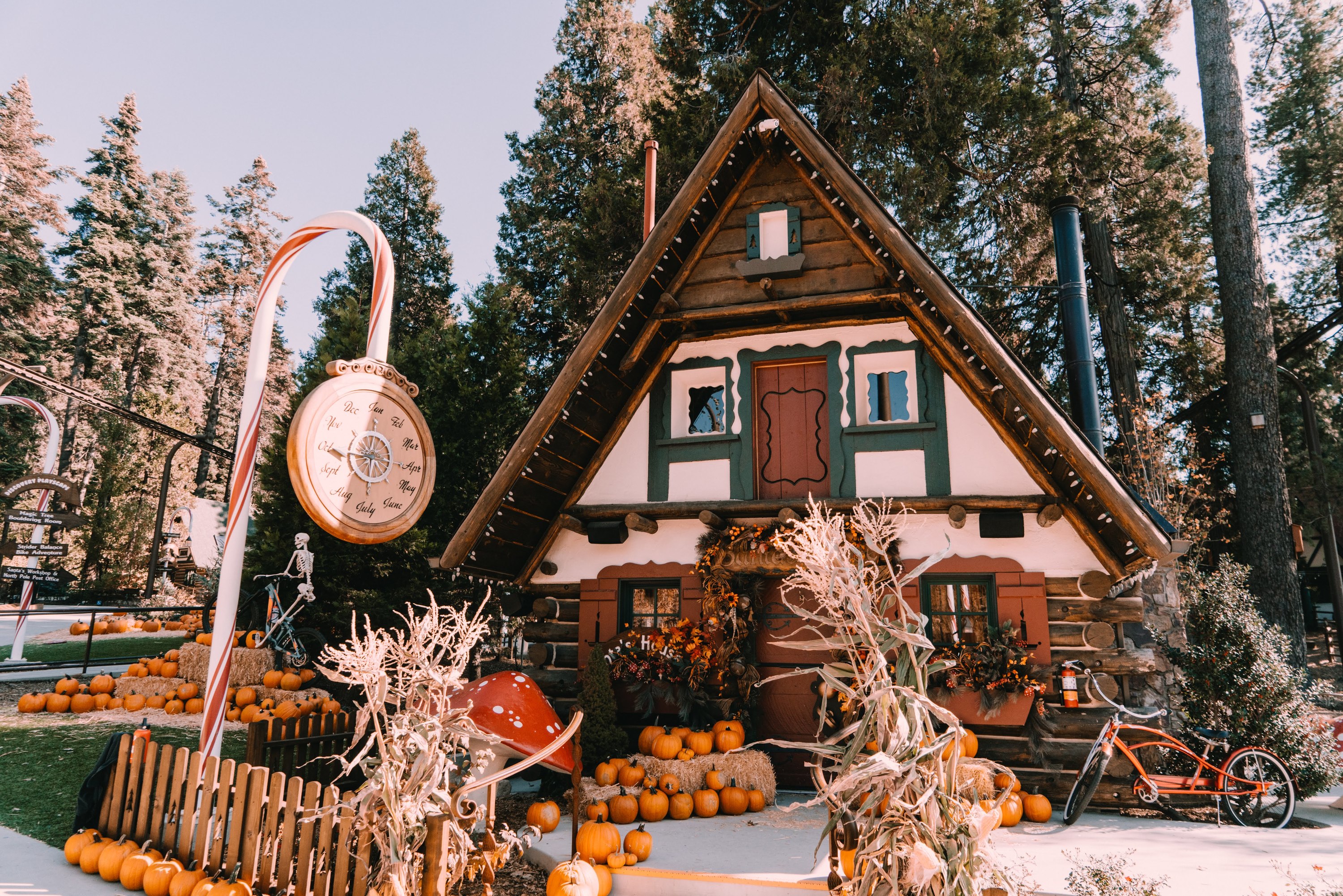 Pumpkins in the Pines brings Halloween to SkyPark at Santa's Village