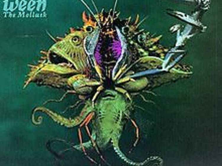 ‘The Blarney Stone’ by Ween