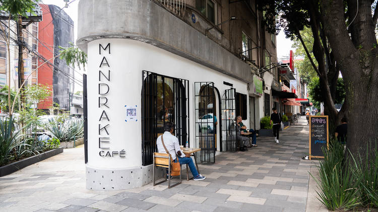 Café Mandrake 