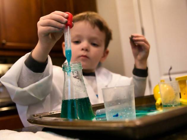 Maratón de ciencias para niños Maratón de ciencias para niños