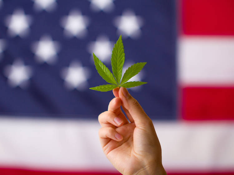 Where is weed legal in the USA: A state-by-state guide to buying cannabis