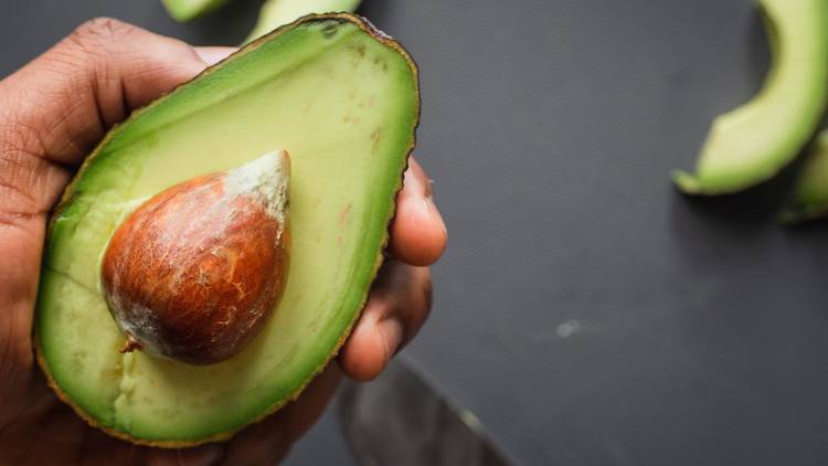 Peruvian avocado