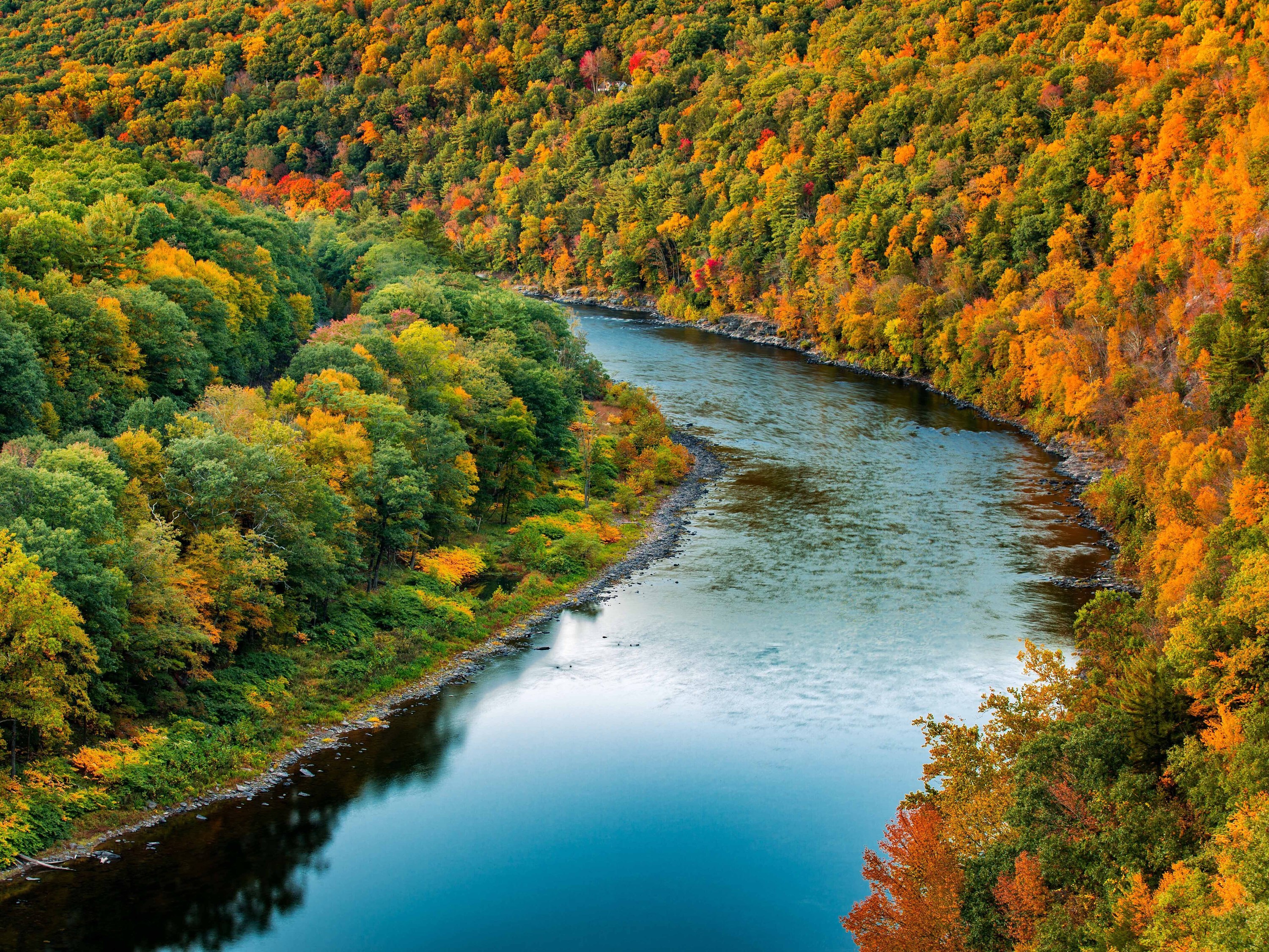 Smoky Mountain Fall Color Map The Smoky Mountains 2021 Fall Foliage Prediction Map Is Here