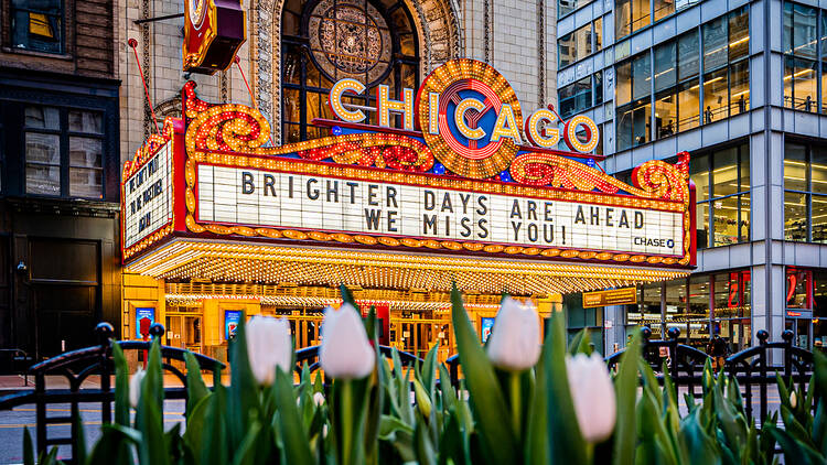 Must-See Chicago