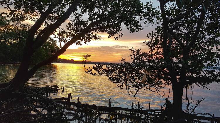 A coastal park with rich history 