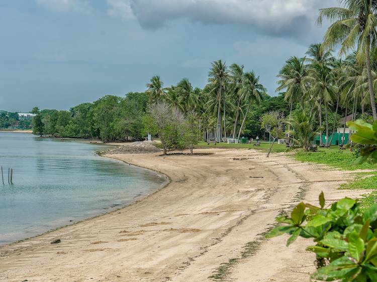 Pasir Ris Park 