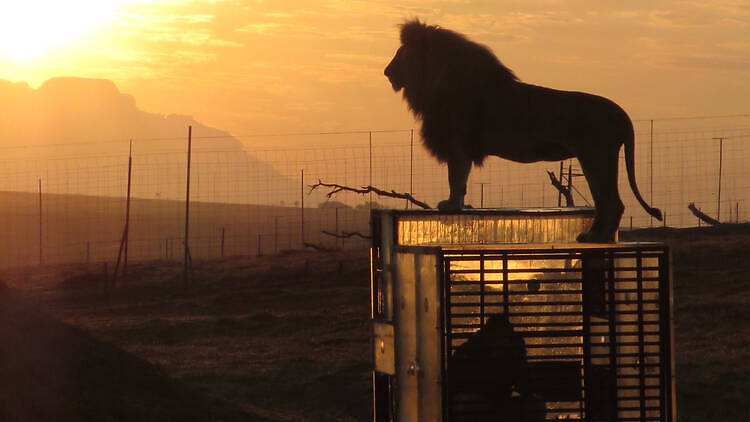 Reverse hotel’ in South Africa