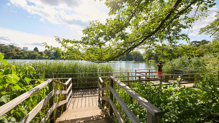 洗足池公園