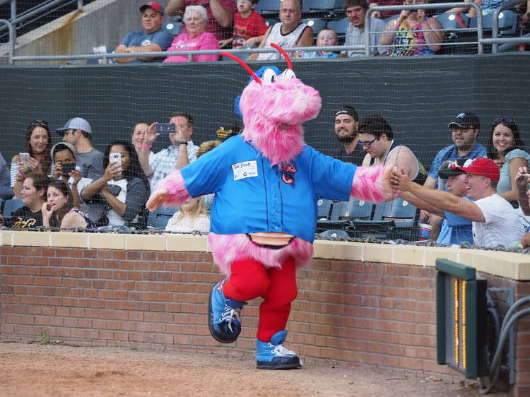 Jacksonville Jaguars mascot - Jacksonville Jumbo Shrimp