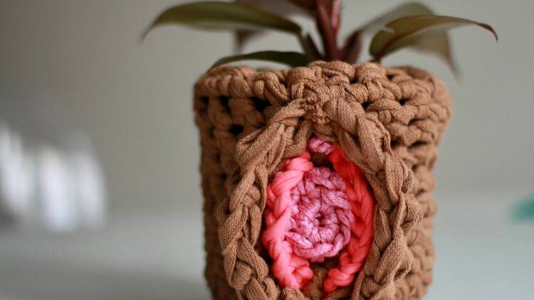 Take up crocheting vulvas, boobs and penises