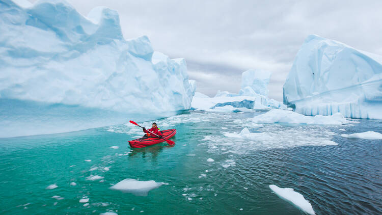 Quark Expeditions