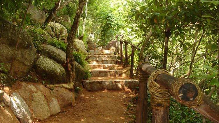 Jardín Botánico de Acapulco