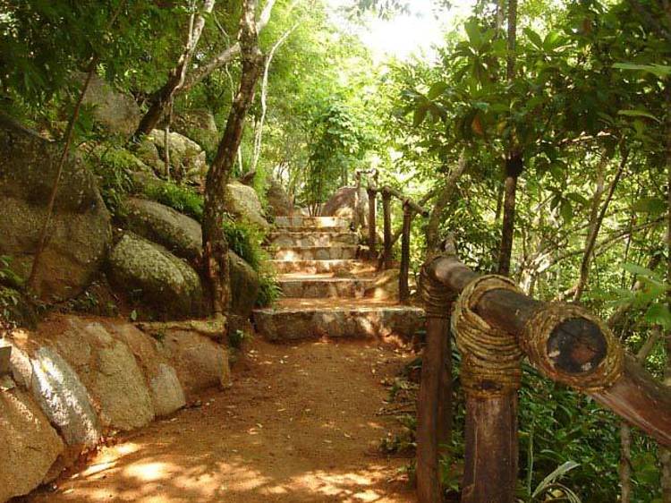 Jardín Botánico de Acapulco