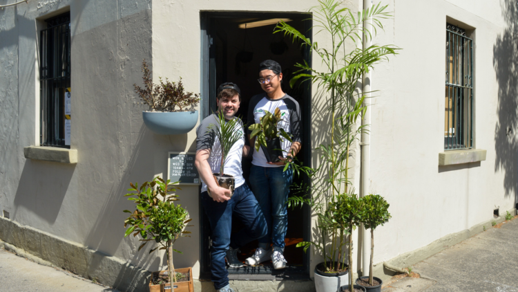 Trent and Charlie Wu at their plant boutique Plant Daddy