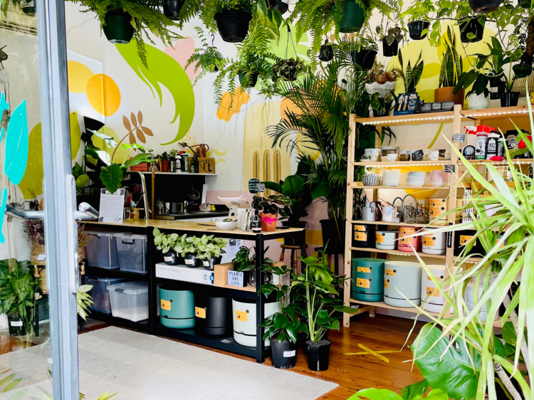 The best plant nurseries and plant shops in Sydney