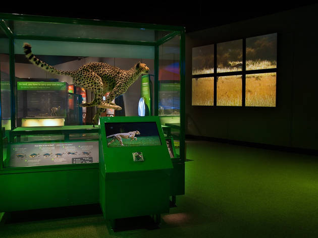 The Machine Inside: Biomechanics exhibition The Machine Inside: Biomechanics exhibition