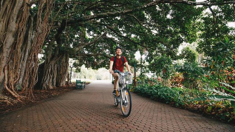 Explore South Bank to Kangaroo Point on two wheels