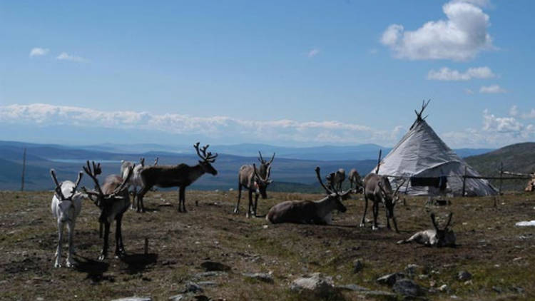 La terra habitada (Cineteca)