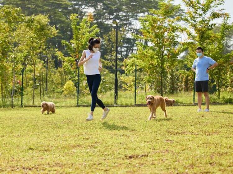 Get your steps in and take a walk outdoors