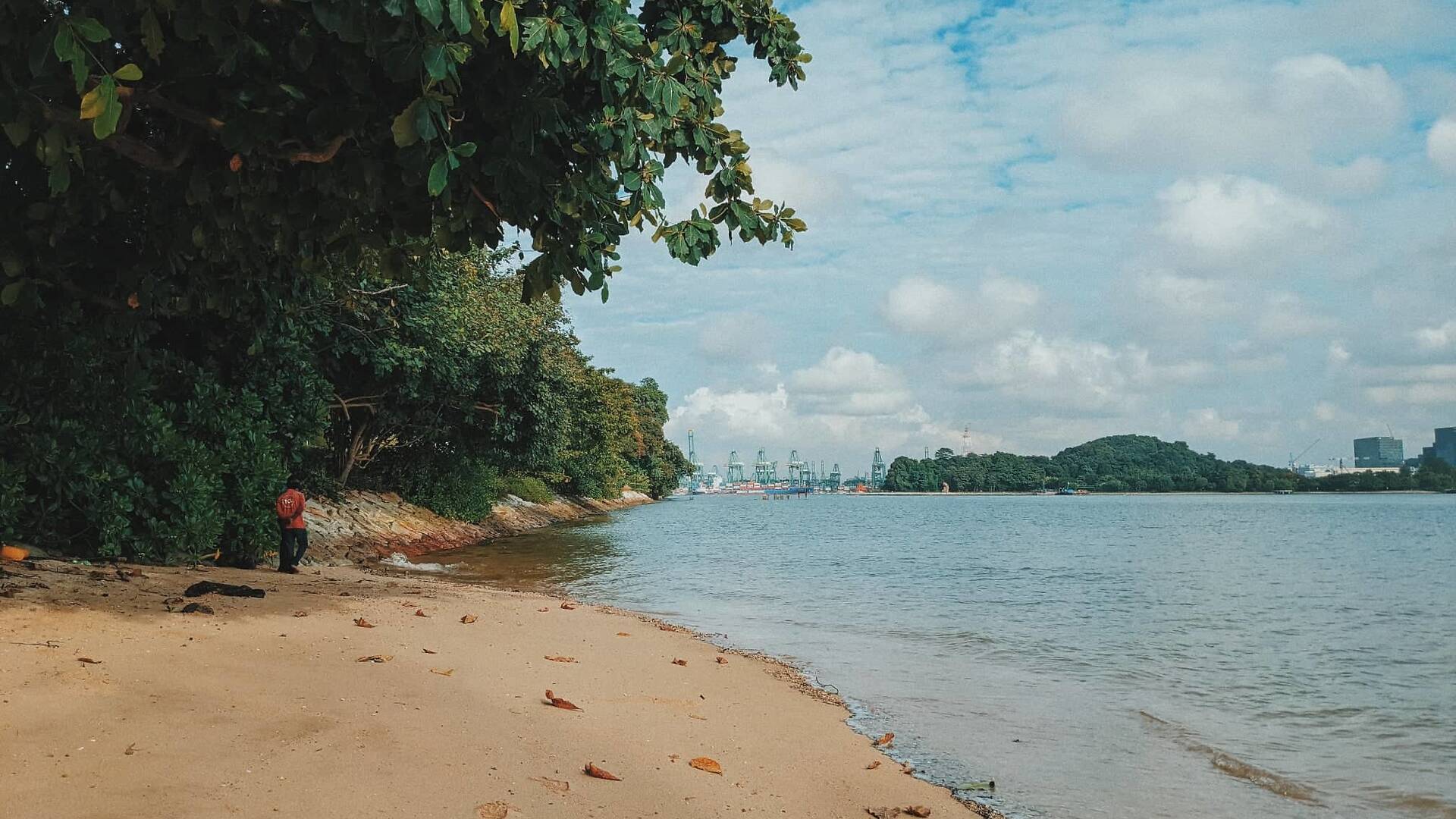Explore Hidden Caves And Marine Life At This Secluded Headland On Sentosa