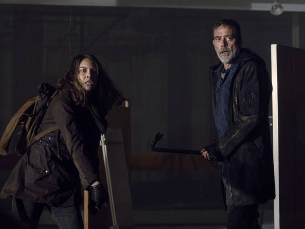 The Walking Dead The Walking Dead