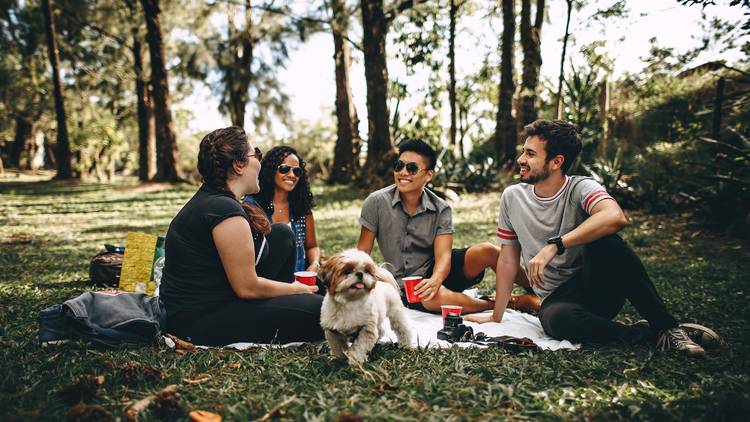 Friends having a picnic 