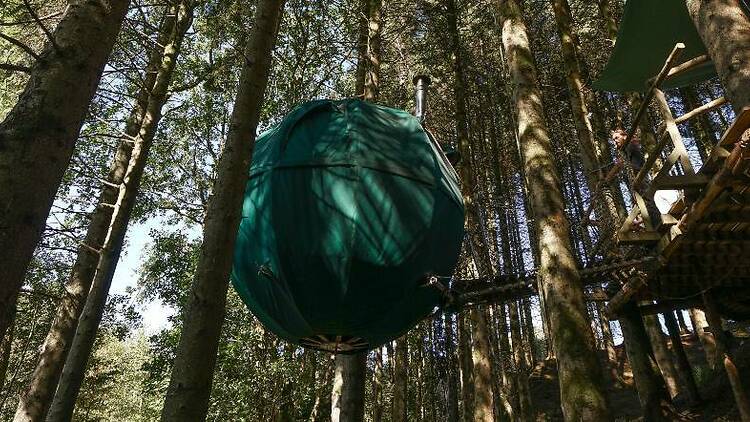 Ynys Affalon Tent Tree