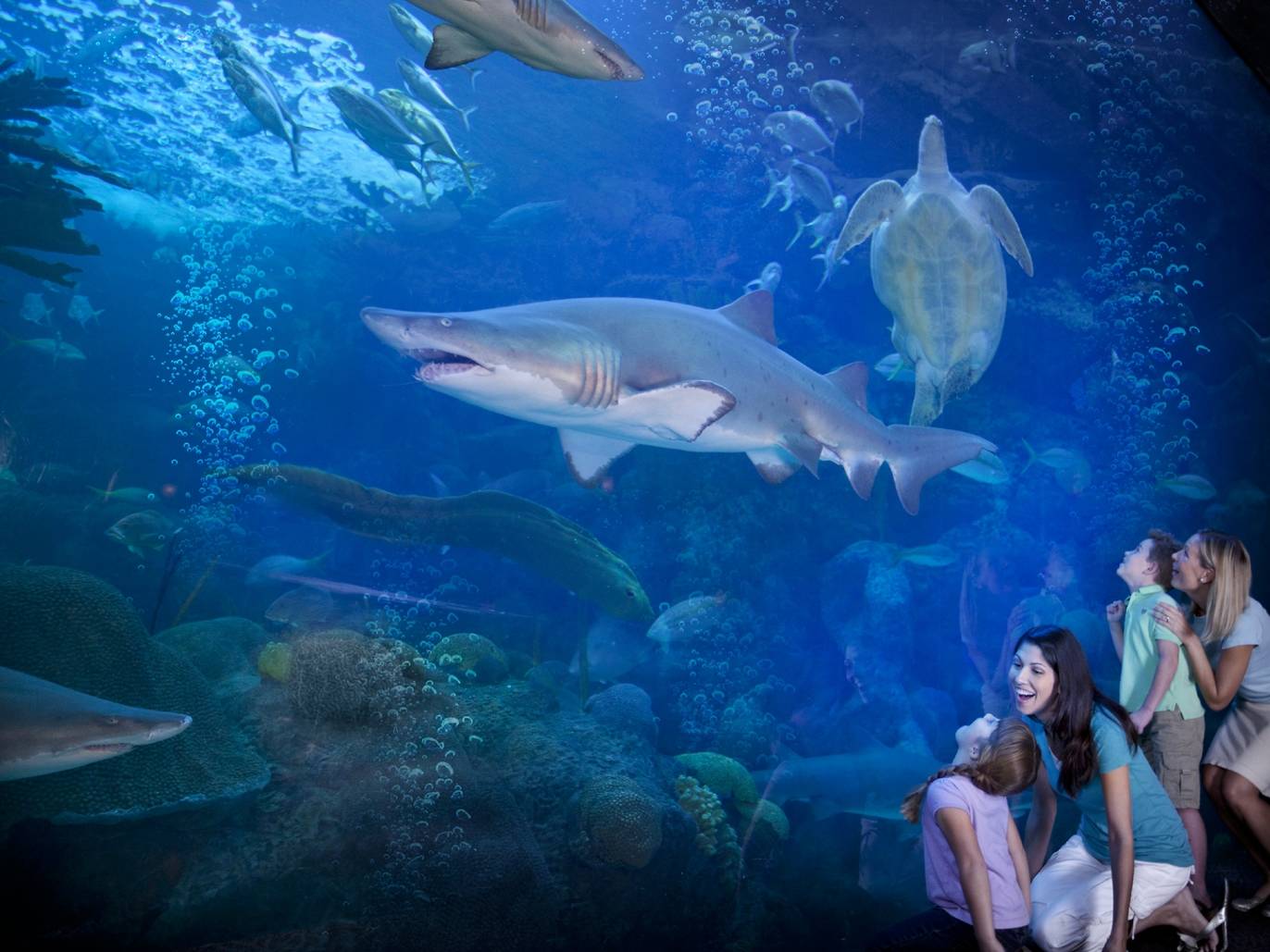 10 Best Things to Do in Tampa that Everyone Will Enjoy