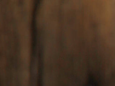 The 12 best restaurants in Berkeley The 12 best restaurants in Berkeley