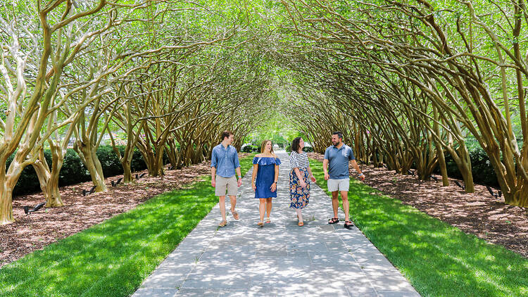 Dallas Arboretum