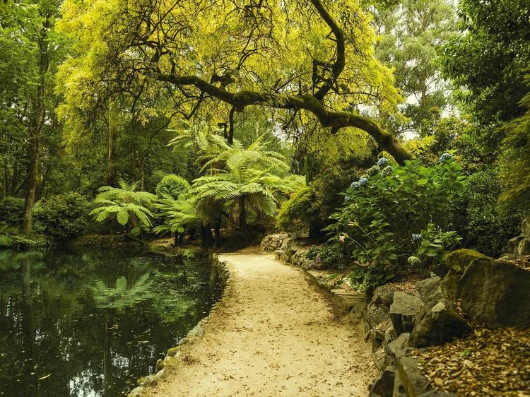 Take our quiz about Victoria's beautiful natural wonders