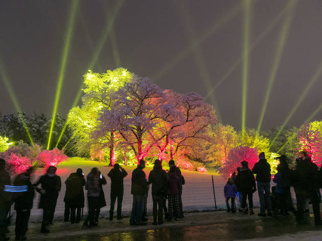 Morton Arboretum Illuminations 2016 Morton Arboretum Illuminations 2016