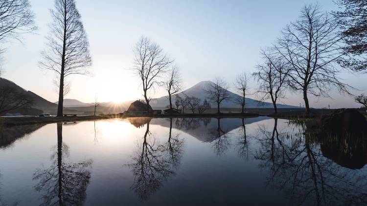 Mt Fuji