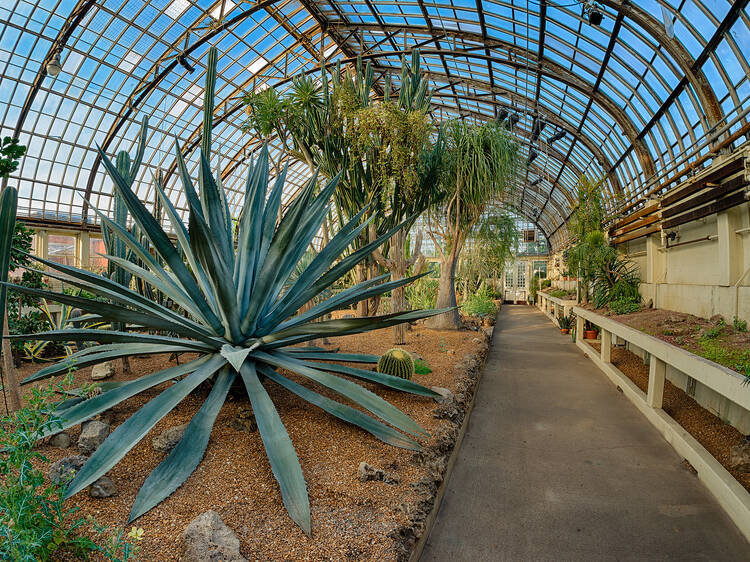 Garfield Park Conservatory