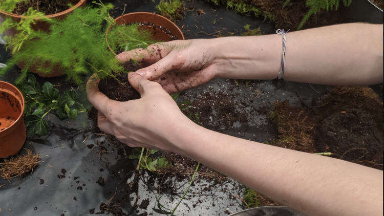 Learn Kokedama and have the Insta plants of dreams