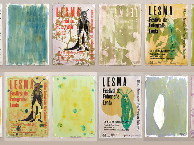 Lesma Lesma